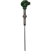 Winters TER RTD Thermocouple